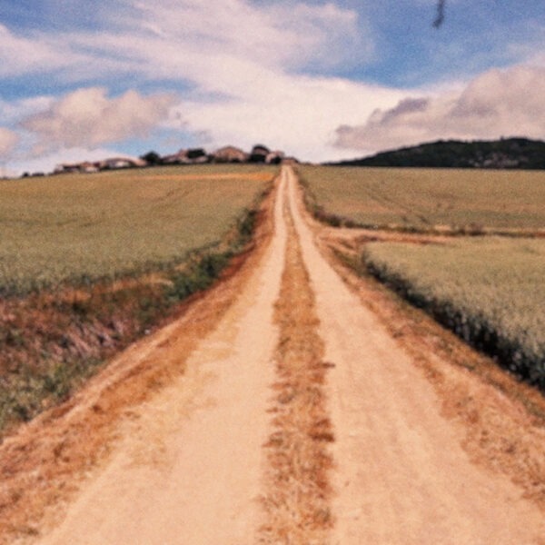 A dirt road through a field.