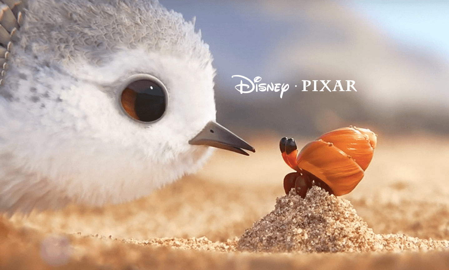 Piper Short Film By Disney Pixar | lacienciadelcafe.com.ar