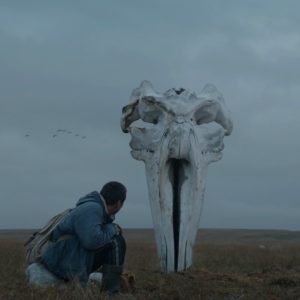 person in a dim field looking at a whale bone