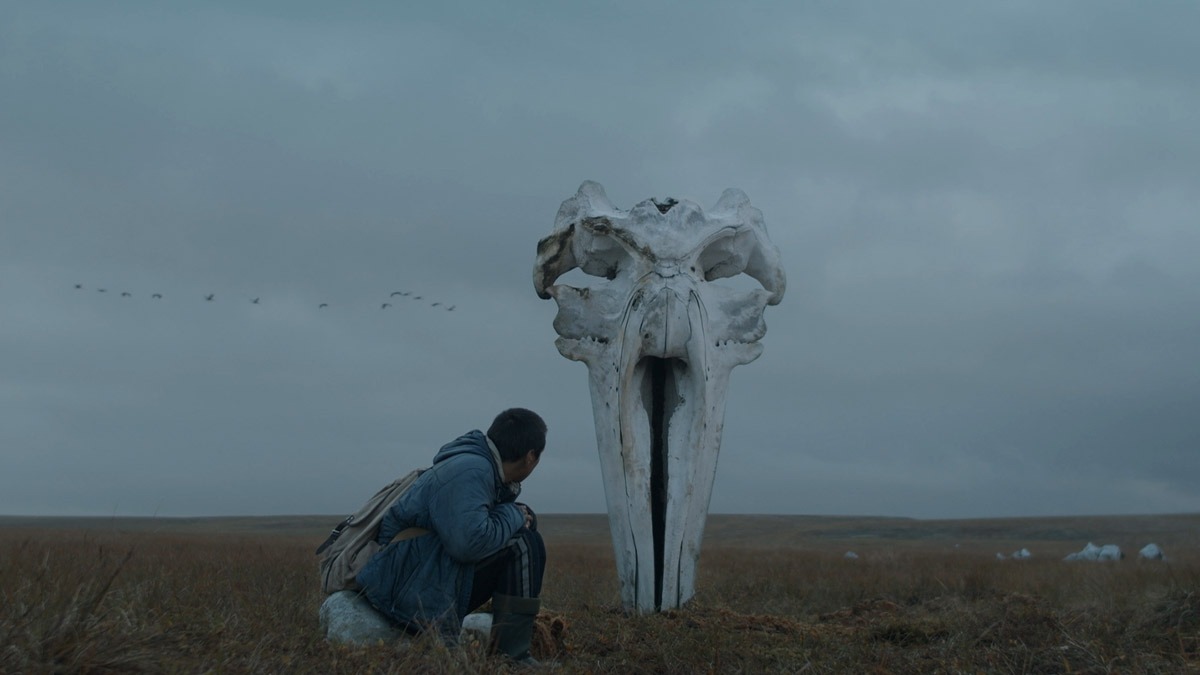 person in a dim field looking at a whale bone
