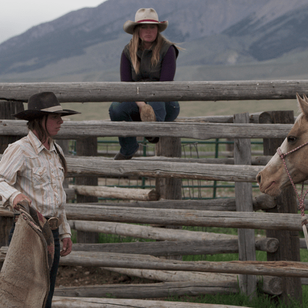 two people on a fence with a horse in front of them
