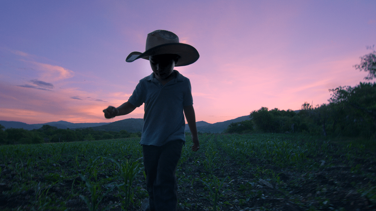 child wears a cowboy hat in a field at dusk