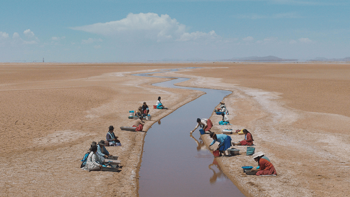 people collect water from a river