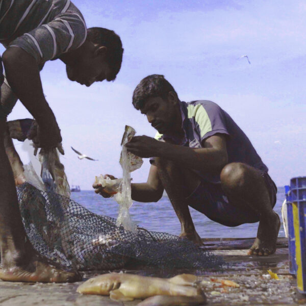 a couple of men taking plastic out of fishing nets.