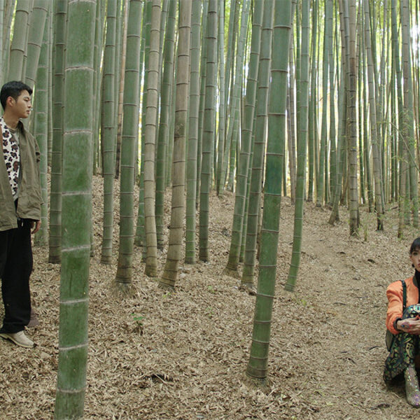 a man and a woman standing and sitting in a bamboo forest.