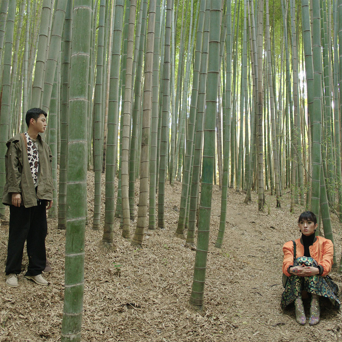 a man and a woman standing and sitting in a bamboo forest.