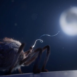 an animated spider slings a web toward the moon.