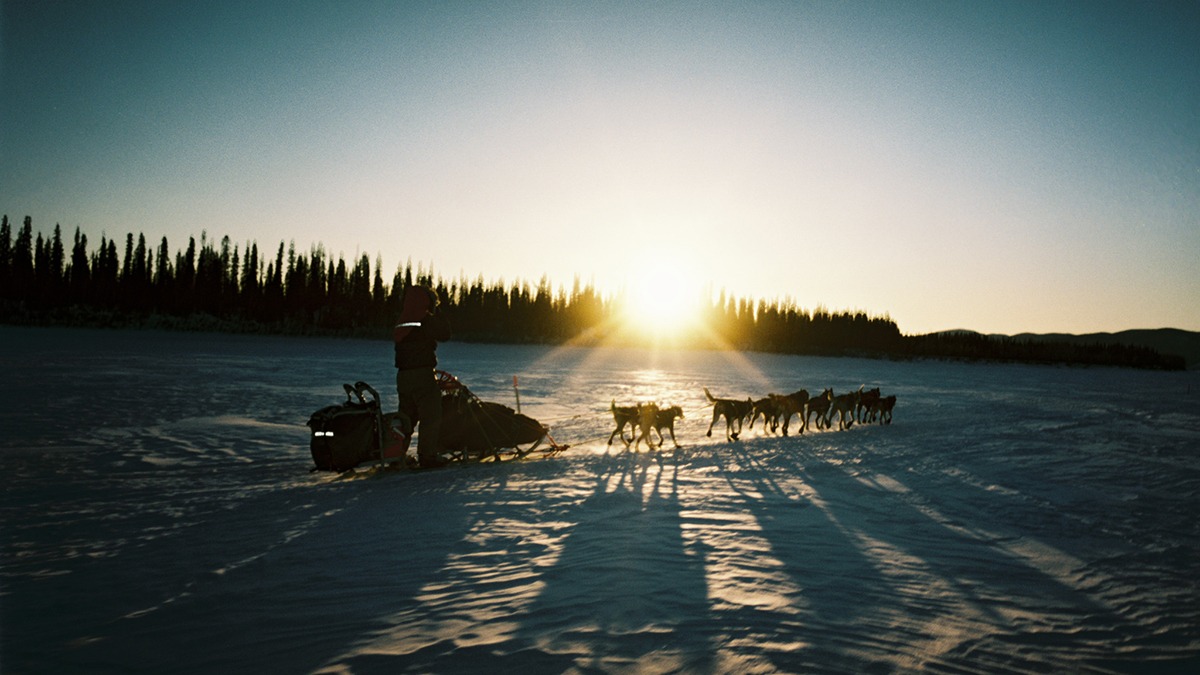 a sled being pulled by dogs across a snowy plain as the sun breaks over the trees.