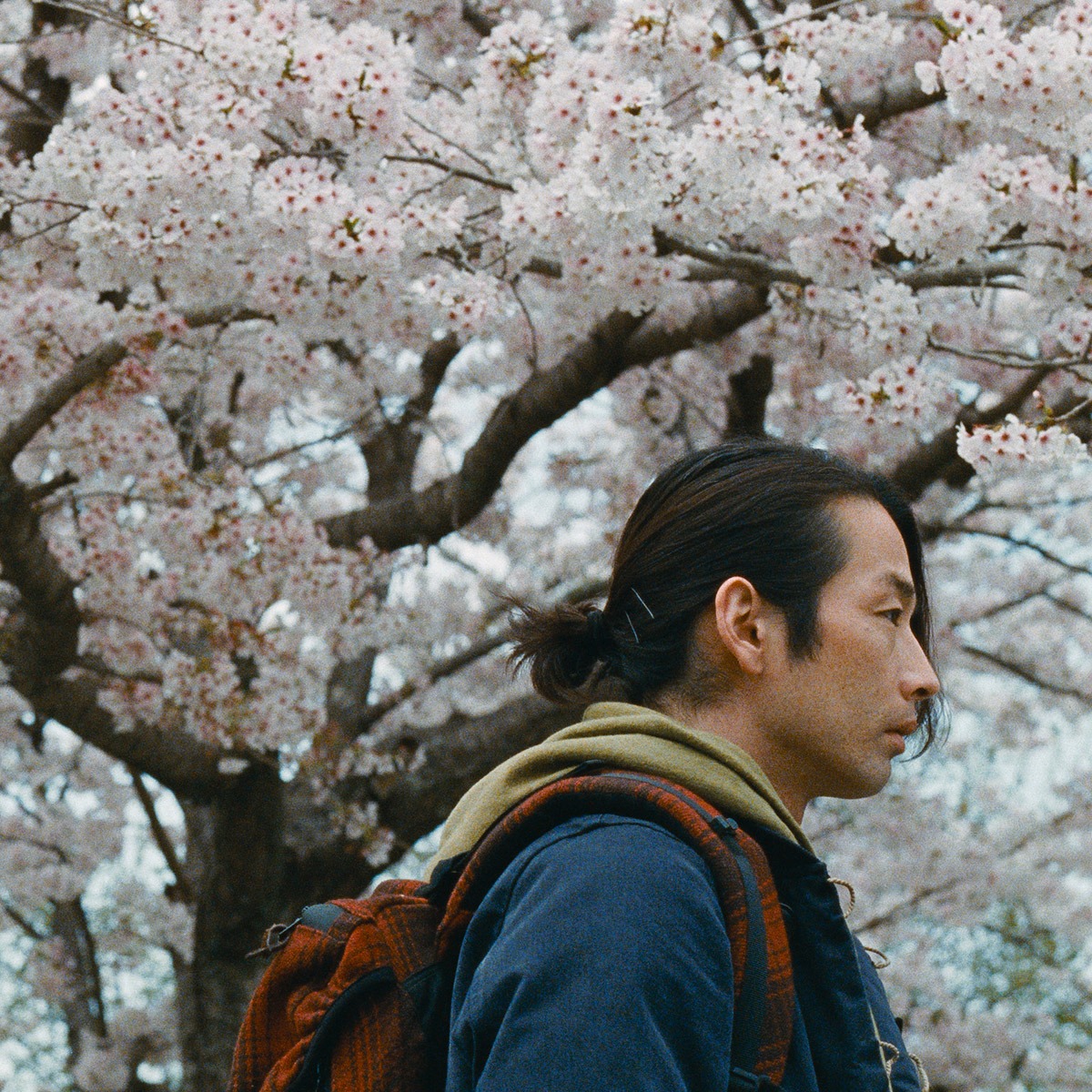 A man in front of a blooming tree.