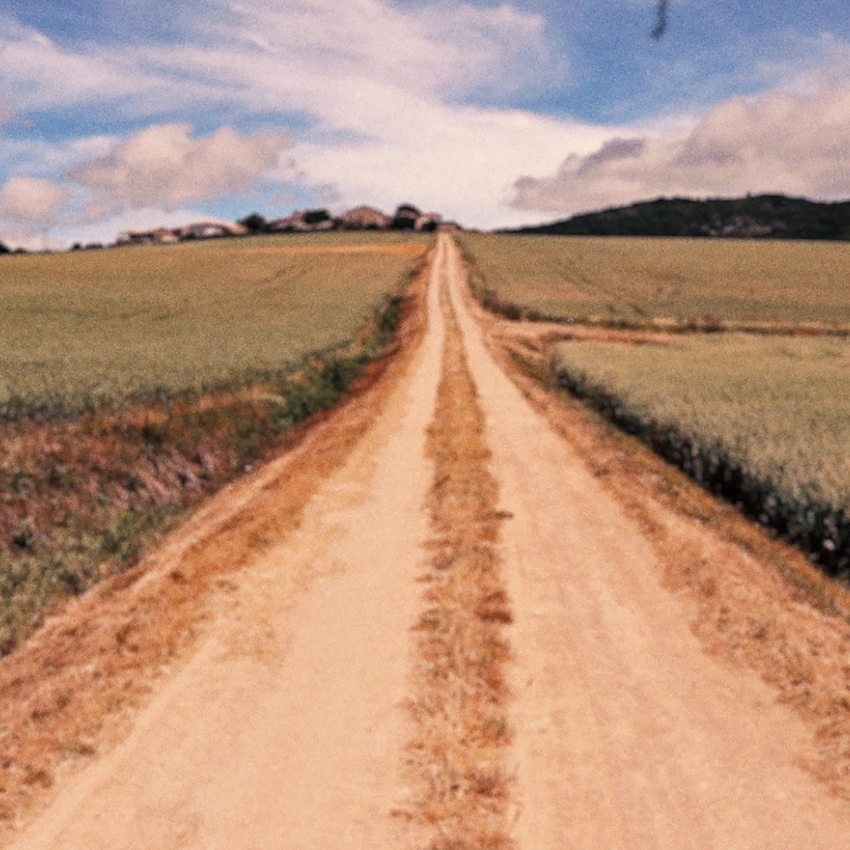 A dirt road through a field.